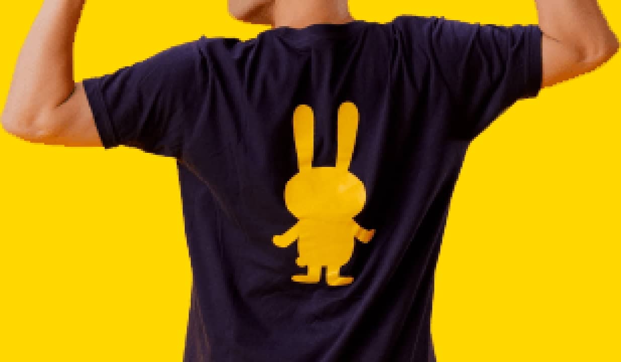 国民民主党のサポーター写真02